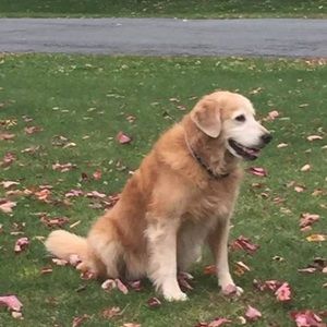 Meet your Posher, Tim